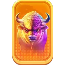 Buffalo
King