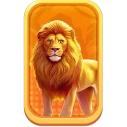 Lion
Safari